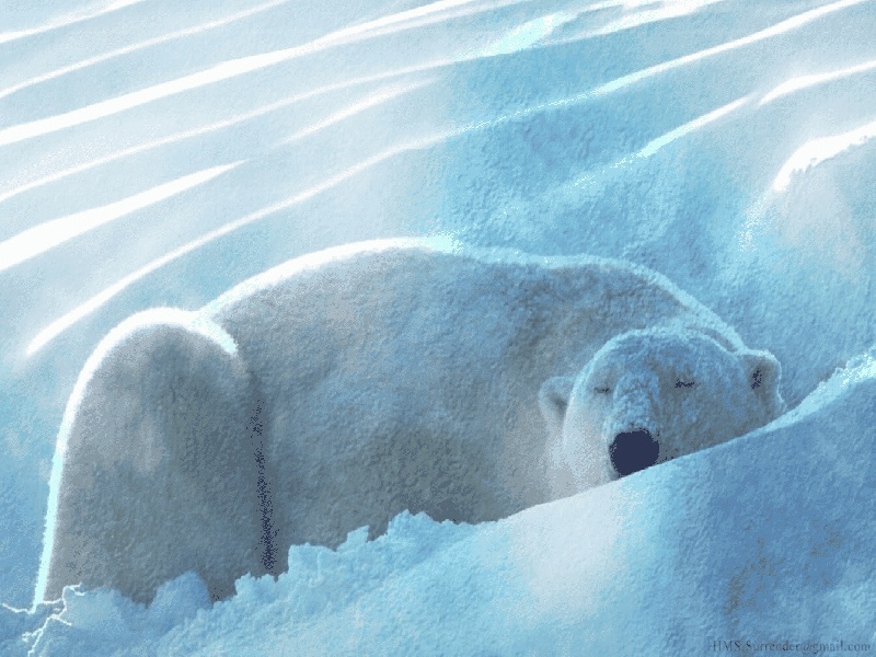 化学实验试管清洁顺序（出阿玛尼香水试管）