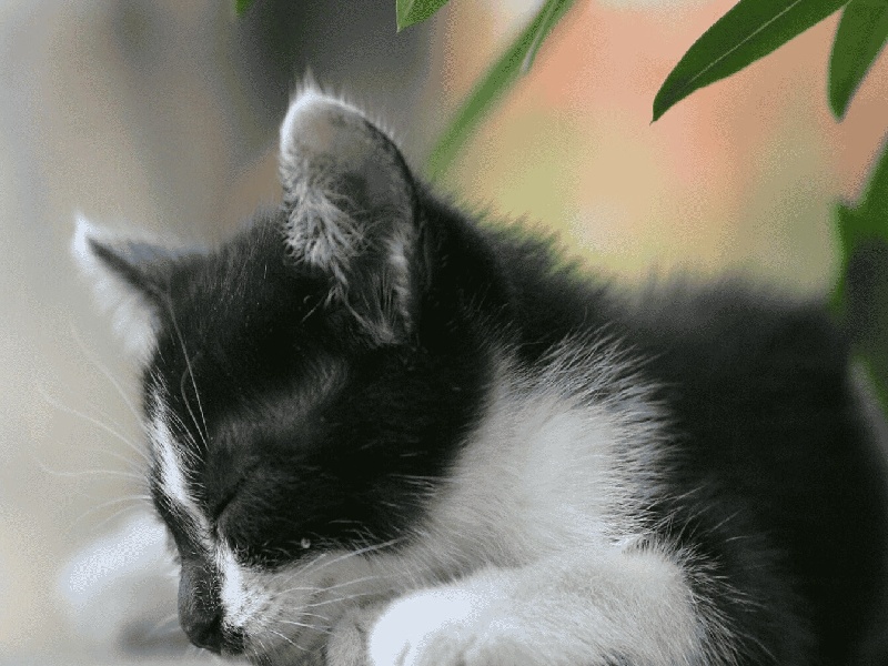 试管移植后甲亢（做试管发痘）