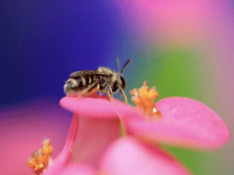 西安代怀最好医院,泰国试管价格高吗？-西安有没有供卵机构_西安供卵试管医院